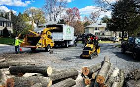 Best Hazardous Tree Removal  in Lmerton, PA