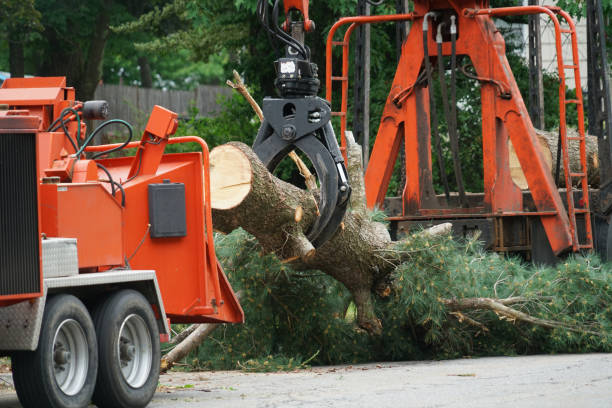 Leaf Removal in Palmerton, PA